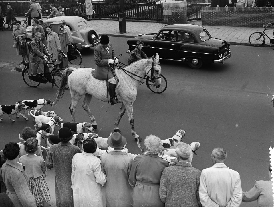 Intocht nieuwe Heide Koningin in Amsterdam, Bestanddeelnr 906-5546
