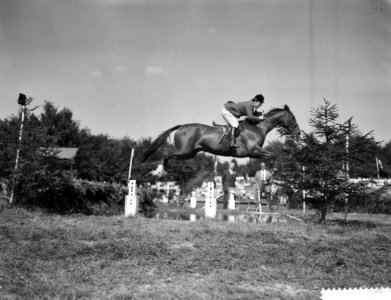 Internationaal Springconcours in Rotterdam mejuffrouw G Servantie (Italie) op D, Bestanddeelnr 910-6476