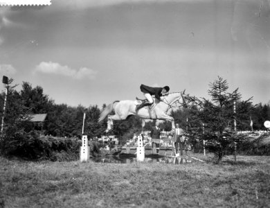 Internationaal Springconcours in Rotterdam, Bestanddeelnr 910-6474