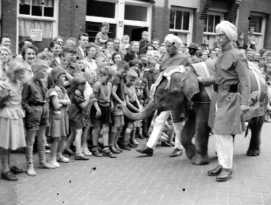 Intocht olifantje Murugan in Spaarndammerbuurt, Bestanddeelnr 907-1680