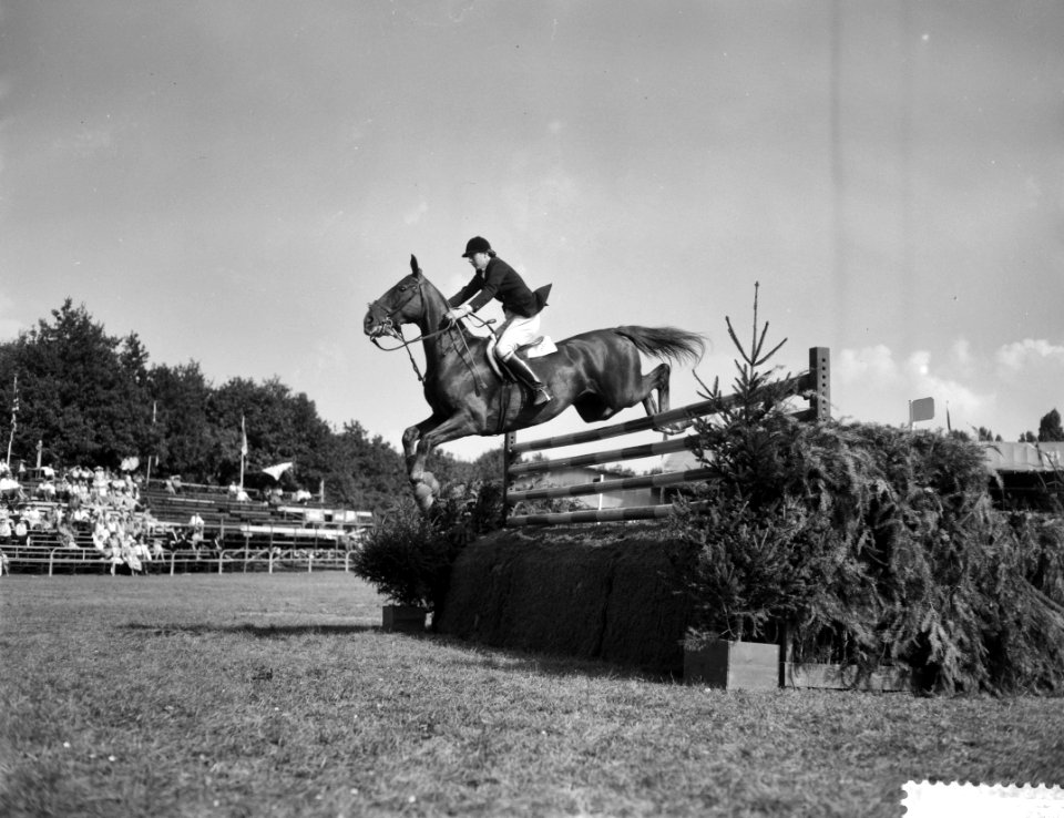 Internationaal Springconcours in Rotterdam, mejuffrouw A Townsend op Bandit IV, Bestanddeelnr 910-6478