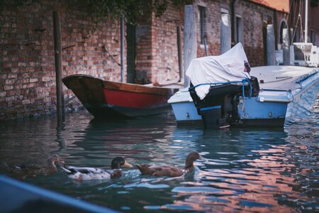 Boats water canal photo