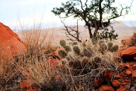 National park usa photo