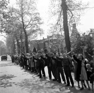 Intocht van het Canadese 1e Leger in de provincie Utrecht, Bestanddeelnr 900-2773
