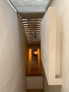 Inside the National Museum of Scotland, pic3
