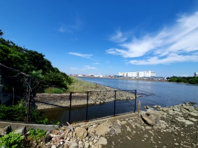 Inside Tokyo Port Wild Bird Park 2