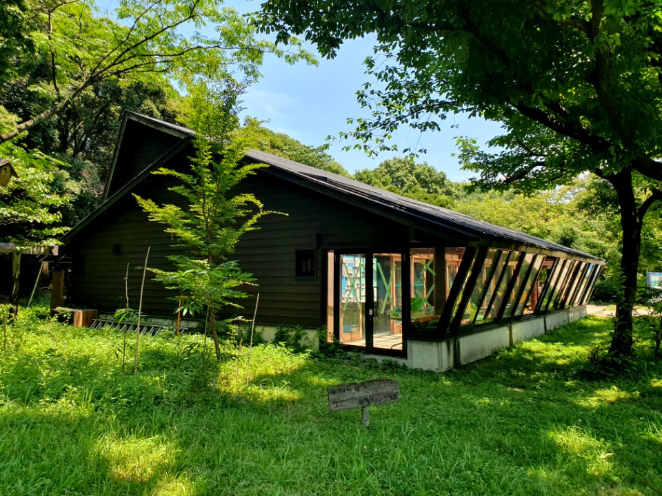 Inside Tokyo Port Wild Bird Park 6
