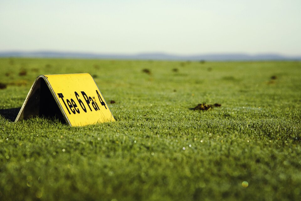 Golf course ball tee