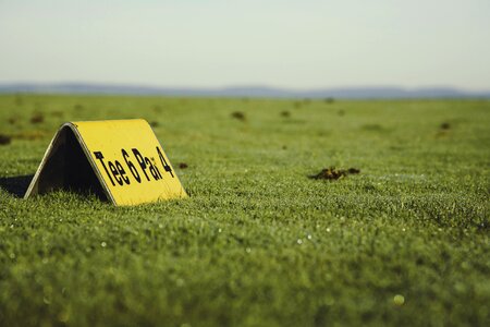 Golf course ball tee