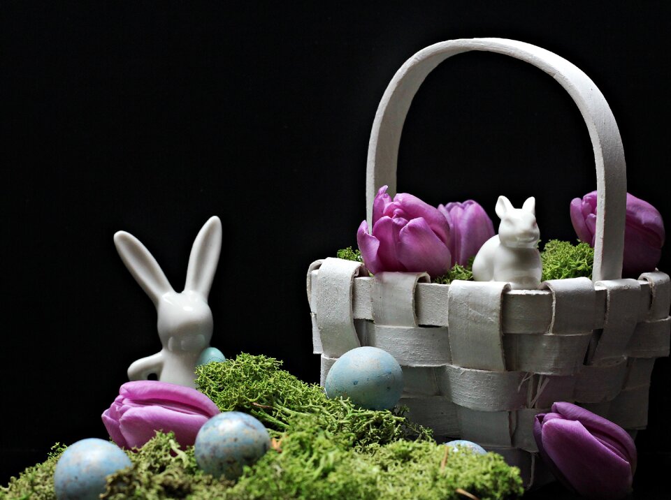 Spring figure tulips