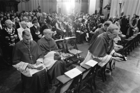 Installatie Bisschop Ter Schure in de St. Jans Kerk in Den Bosch Bisschop Ter , Bestanddeelnr 933-2611