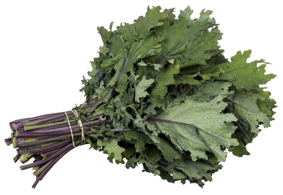 Perennial plant food