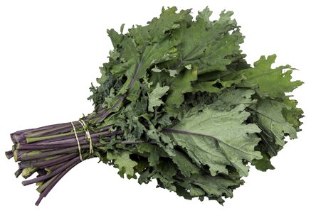 Perennial plant food