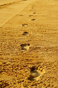 Run brown sand tracks in the sand photo