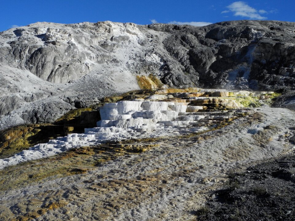 Mammoth hot springs yellowstone spring