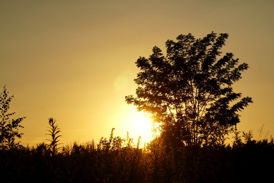 Evening sky abendstimmung evening sun photo