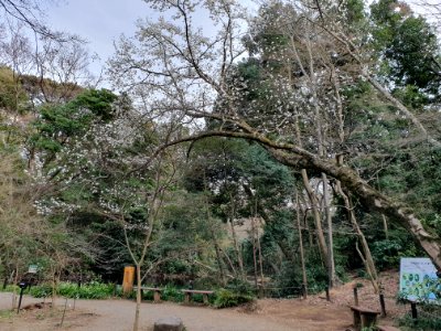 Institute for Nature Study 2