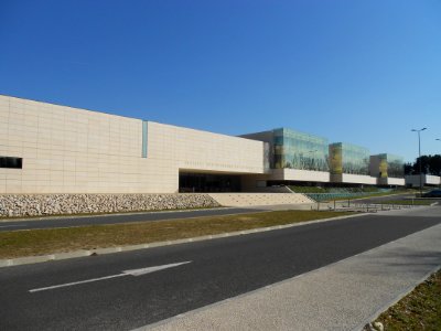 Institut des Sciences de la Vigne et du Vin (ISVV) 02-2012 (5)