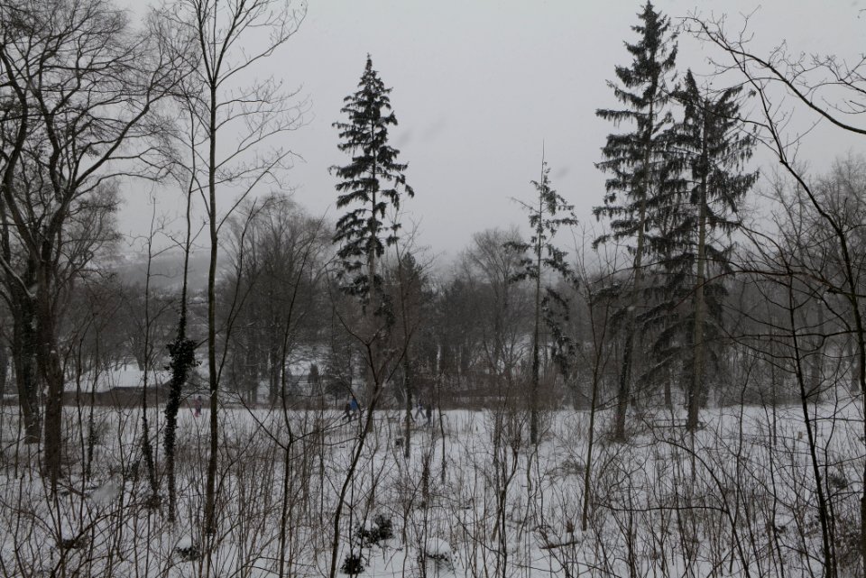 Insulaner with snow 2021-02-08 06