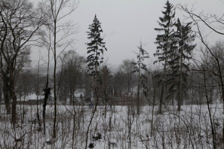 Insulaner with snow 2021-02-08 06
