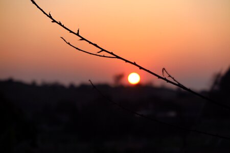 Sky tree lanscape photo