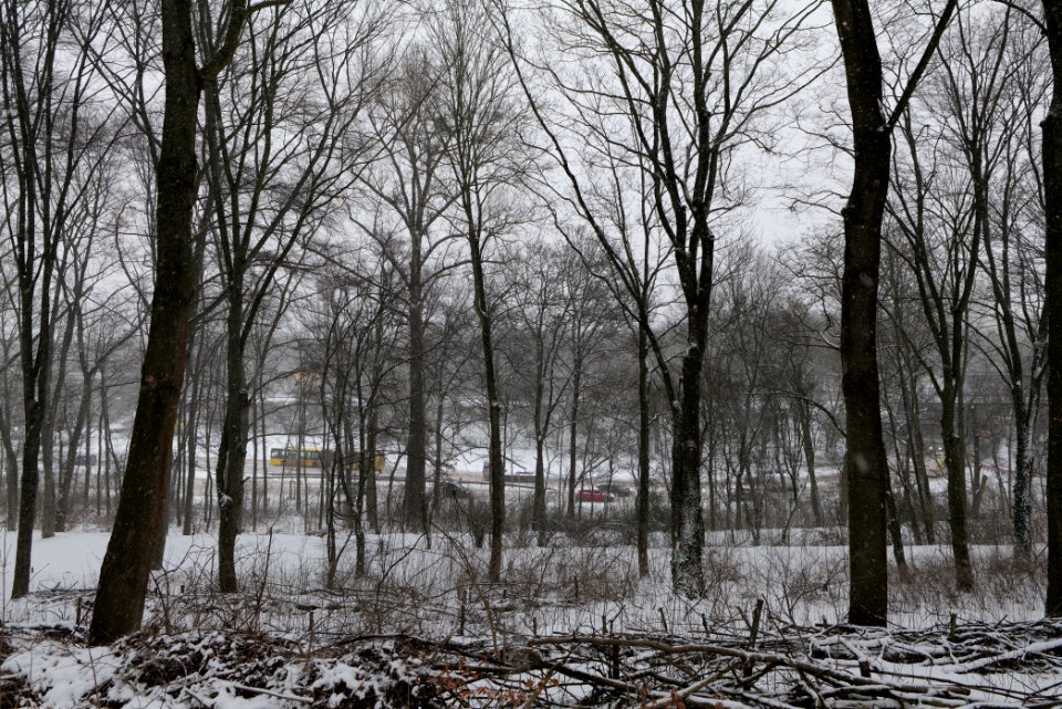 Insulaner with snow 2021-02-08 04