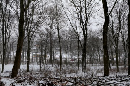 Insulaner with snow 2021-02-08 04