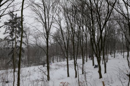Insulaner with snow 2021-02-08 05