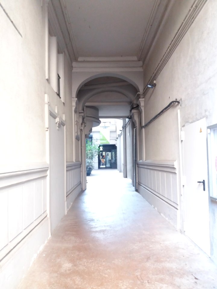 Institut Goethe de Lyon - Cour d´acces