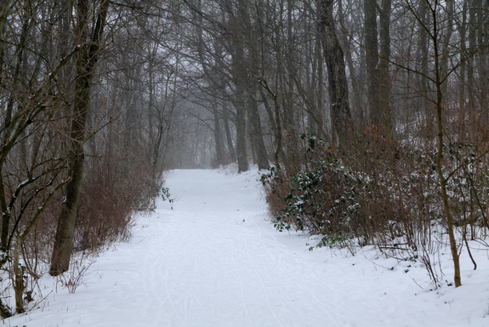 Insulaner with snow 2021-02-08 02