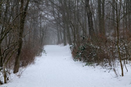 Insulaner with snow 2021-02-08 02