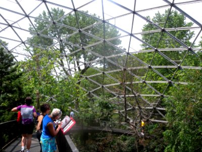 Inside Queens Zoo dome jeh photo