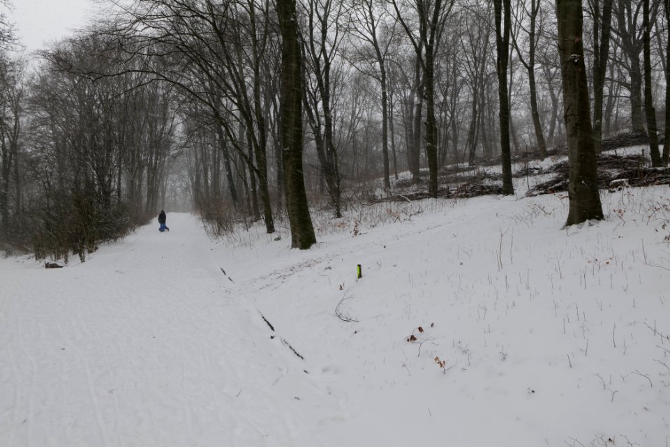 Insulaner with snow 2021-02-08 01