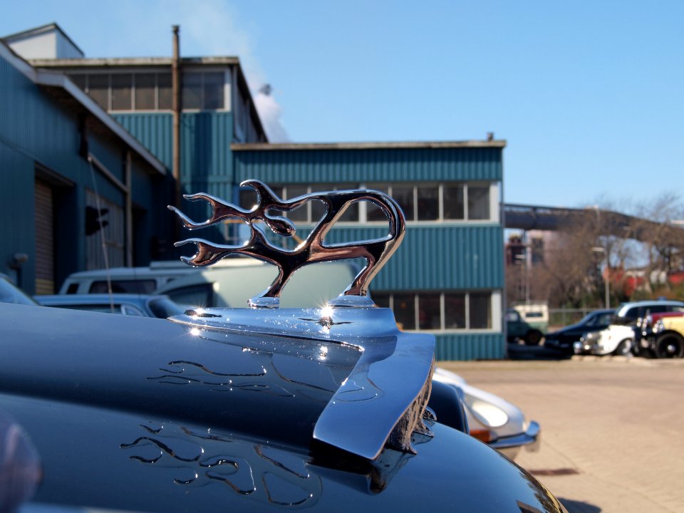 Insignia of Austin A50, photographed at Lisse, The Netherlands