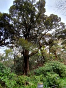 Institute for Nature Study