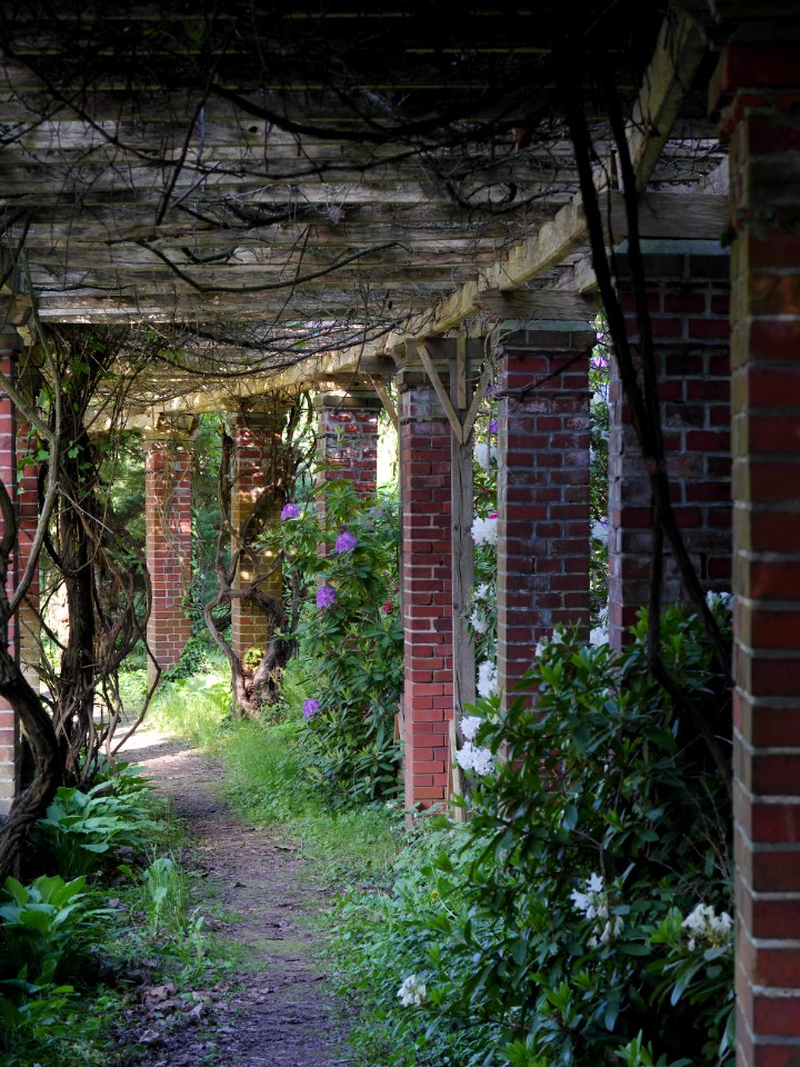 Institut.fuer.Lebensmitteltechnologie.TU.Berlin-Dahlem.Pergola.Strassenseite