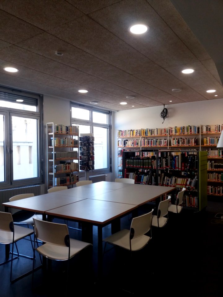 Institut Culturel Italien de Lyon - Bibliotheque