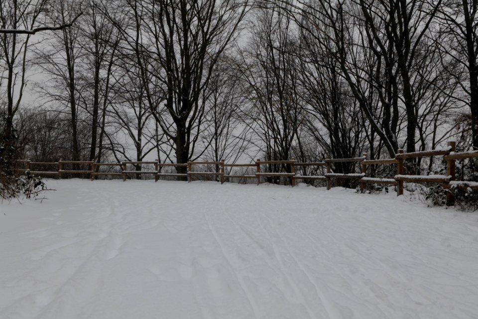 Insulaner with snow 2021-02-08 07