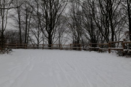 Insulaner with snow 2021-02-08 07