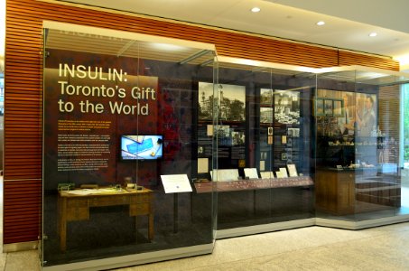 InsulinMultimediaExhibit