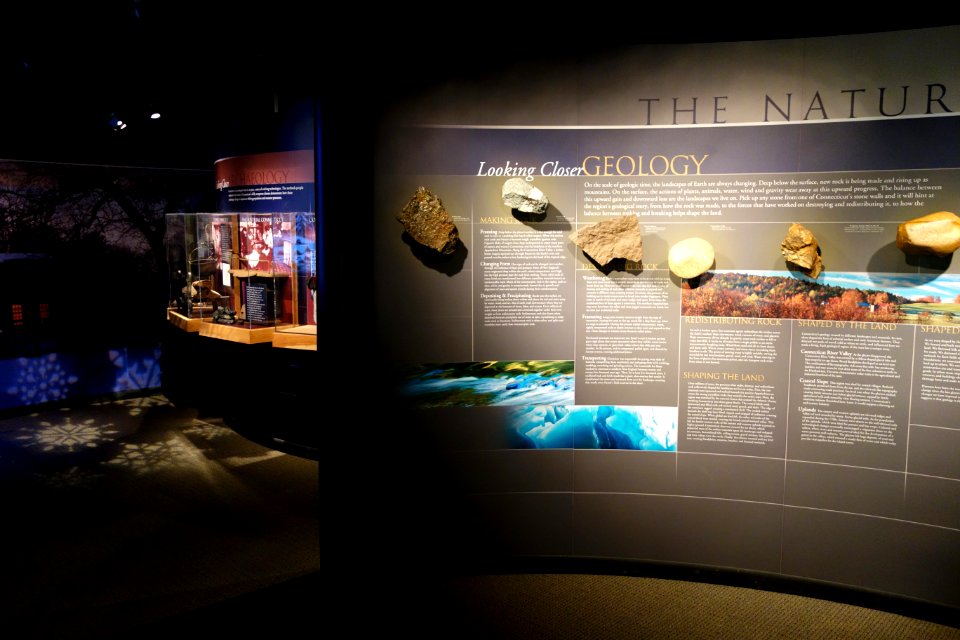 Interior view - Connecticut Museum of Natural History - DSC09982