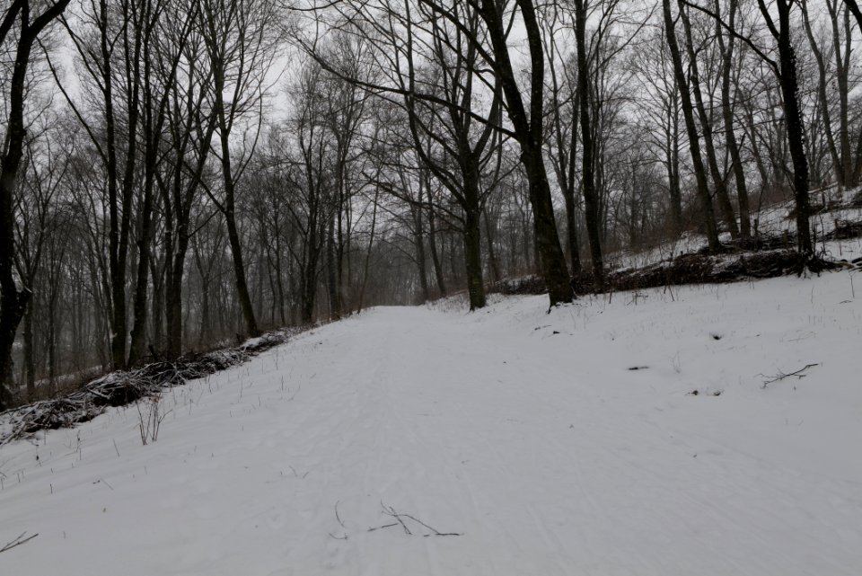 Insulaner with snow 2021-02-08 03