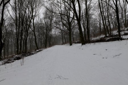 Insulaner with snow 2021-02-08 03