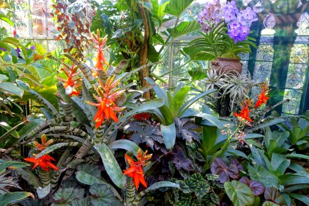 Interior view - Marie Selby Botanical Gardens - Sarasota, Florida - DSC00964