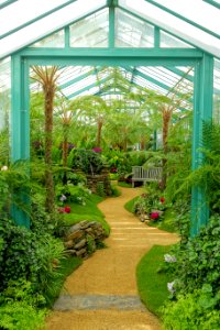 Interior view - Laeken Royal Greenhouses - Royal Castle of Laeken - Brussels, Belgium - DSC07318