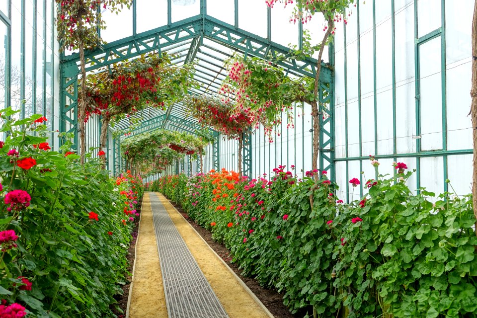 Interior view - Laeken Royal Greenhouses - Royal Castle of Laeken - Brussels, Belgium - DSC07298