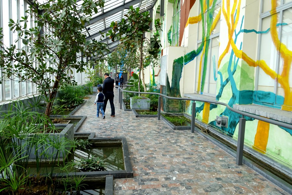 Interior view, Le Botanique - Botanical Garden of Brussels - Brussels, Belgium - DSC06686
