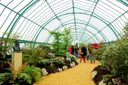 Interior view - Laeken Royal Greenhouses - Royal Castle of Laeken - Brussels, Belgium - DSC07262