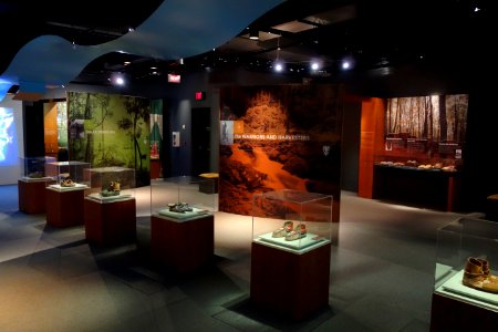 Interior view - Bata Shoe Museum - DSC00481