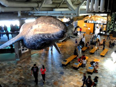 Interior view - MBA - DSC07017